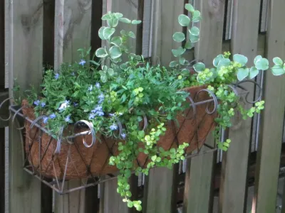 Le Sueur Landscape Design - Landscape Design in 