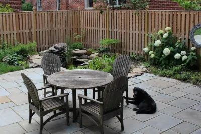 Native Oasis - DC — Landscape Design project by Le Sueur Landscape Design