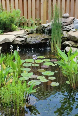 Le Sueur Landscape Design - Landscape Design in 