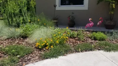 Pollinator Meadow — Landscape Design project by 3o5 Gardens