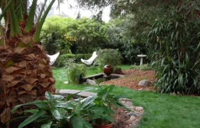 LTLA Design - Landscape Design in Berkeley, CA