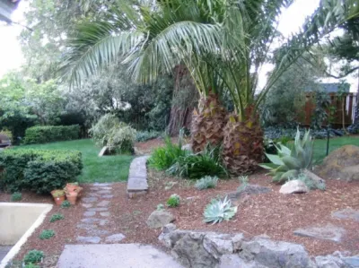 LTLA Design - Landscape Design in Berkeley, CA