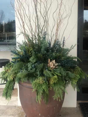 Container Planting — Landscape Design project by Lush Custom Gardening Company in Eagle