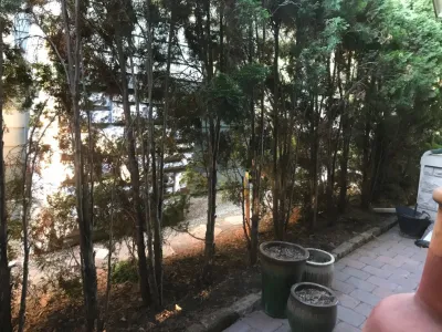 Patio Space Re-Do — Landscape Design project by Lush Custom Gardening Company in Boise