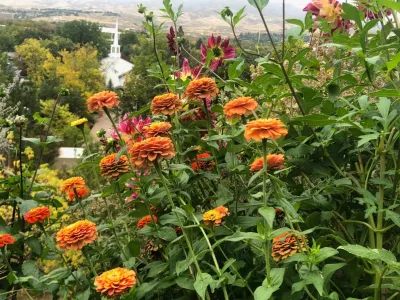 Lush Custom Gardening Company - Landscape Design in Boise, ID