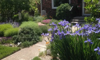 Drought Tolerant Garden — Landscape Design project by Lush Custom Gardening Company in Eagle