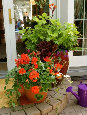 2013 Garden Tour Home — Landscape Design project by Lush Custom Gardening Company in Eagle