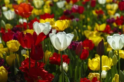 Mama Terra Gardens - Landscape Design in Minneapolis, MN