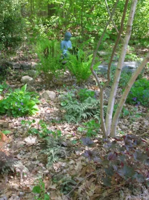 The Hidden Garden & ConnSoil, LLC - Landscape Design in Bethlehem, CT