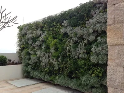 VERTICAL GARDENS — Landscape Design project by Matthew Hannan Design