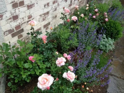 Matthew Hannan Design - Landscape Design in Washington, 
