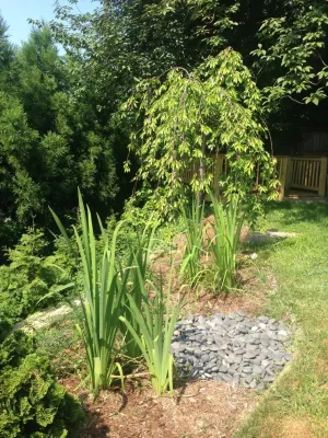 Old Chester Rd by Earth Essence Designs