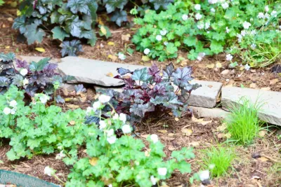 Drainage and shade by Earth Essence Designs