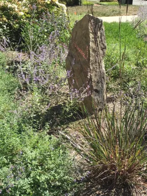 Front Yard Pollinator Paradise by Earth Essence Designs