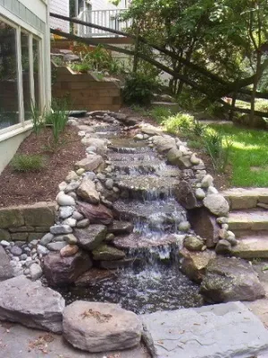 Shady side yard — Landscape Design project by Earth Essence Designs