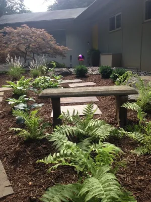 Contemporary Foundation Planting by Earth Essence Designs