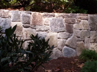DC terraced front slope — Landscape Design project by Earth Essence Designs in Washington