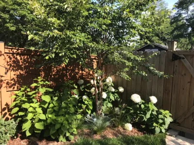 Earth Essence Designs - Garden Remodeling in Silver Spring, MD