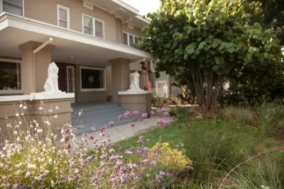 Wilton residence — Landscape Design project by Native By Design Landscapes