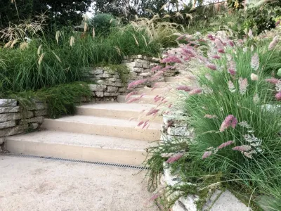 Native By Design Landscapes - Landscape Design in Los Angeles, CA