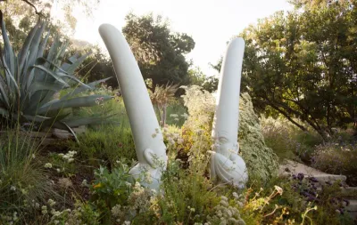 Native By Design Landscapes - Landscape Design in Los Angeles, CA