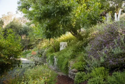 Native By Design Landscapes - Landscape Design in Los Angeles, CA