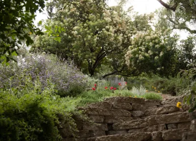 Native By Design Landscapes - Landscape Design in Los Angeles, CA