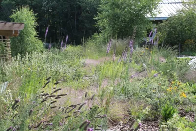 Native Edge LLC - Landscape Design in Grand Rapids, MI