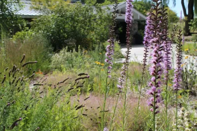 Native Edge LLC - Landscape Design in Grand Rapids, MI