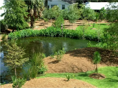 Natives Landscape Corporation - Landscape Design in Covington, LA