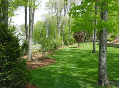 Kodiak Tree and Landscape Company - Landscape Design in Newtown, CT