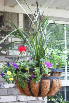 EARTHeim Landscape Design LLC - Landscape Design in Lexington, KY