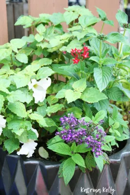 EARTHeim Landscape Design LLC - Landscape Design in Lexington, KY