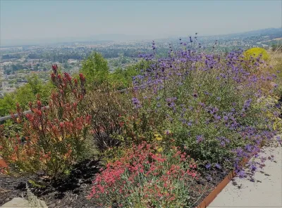 Earthly Sites - Drought-Resistant Lawn Installation in Oakland, CA