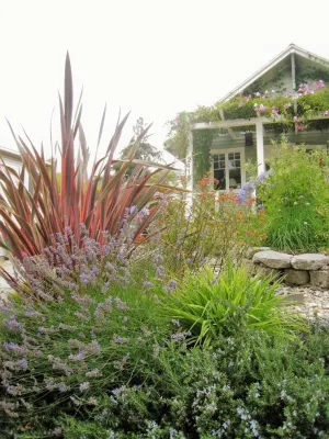 Earthly Sites - Drought-Resistant Lawn Installation in Oakland, CA