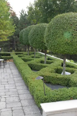 Lan-De-Con - Landscape Design in Excelsior, MN
