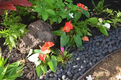 Lanaiscapes - Landscape Design in Honolulu, HI