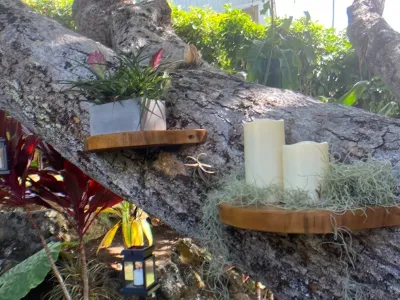 Lanaiscapes - Landscape Design in Honolulu, HI