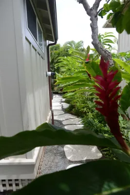 Lanaiscapes - Landscape Design in Honolulu, HI
