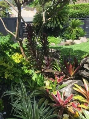 Lanaiscapes - Landscape Design in Honolulu, HI