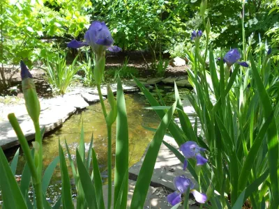 natural pond landscape — Landscape Design project by Land/arch Landscape Architecture