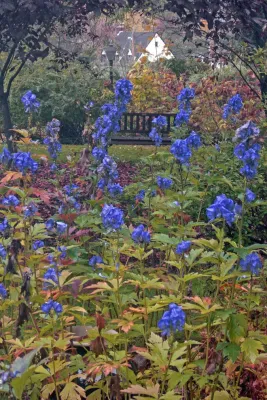 Land/arch Landscape Architecture - Landscape Design in Baltimore, MD