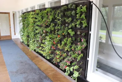 Eco Brooklyn - Garden Remodeling in Brooklyn, NY