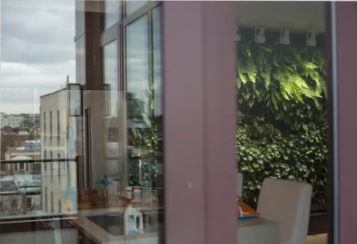 Eco Brooklyn - Garden Remodeling in Brooklyn, NY