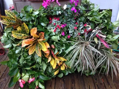 Eco Brooklyn - Garden Remodeling in Brooklyn, NY