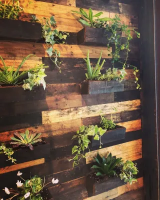Eco Brooklyn - Garden Remodeling in Brooklyn, NY