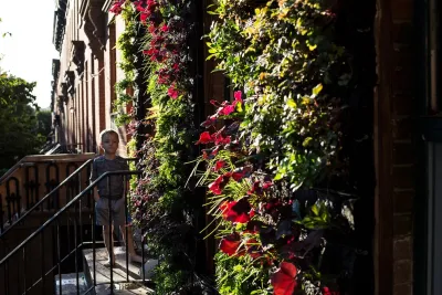 Eco Brooklyn - Garden Remodeling in Brooklyn, NY
