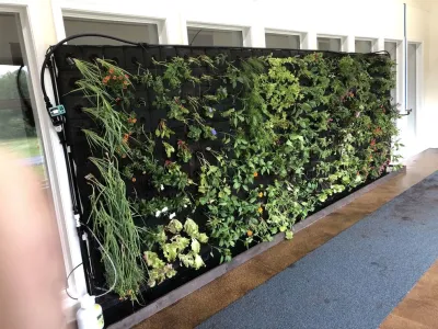 Eco Brooklyn - Garden Remodeling in Brooklyn, NY