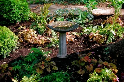 Landis Garden Design - Landscape Design in 