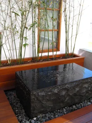 Ecocentrix Landscape Architecture - Landscape Design in Santa Monica, CA